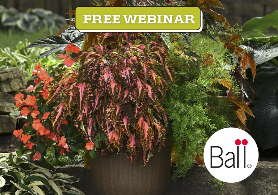 Dallas Garden School Free Resources