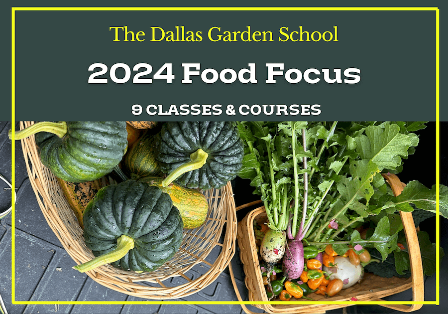 The Dallas Garden School | Gardening Classes
